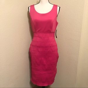 NWT New York & Company Hot Pink Dress Medium